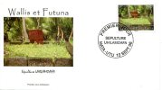 Walllis Et Futuna   FDC    Enveloppe Premier Jour   Sépulture Uhilamoafa  12 Sept 2006 - FDC
