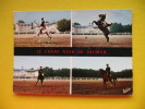 LE CADRE NOIR DE SAUMUR - Horse Show