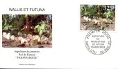 Wallis Et Futuna   FDC   Enveloppe Premier Jour   Sépulture Du Premier Roi  28 Déc.01 - FDC