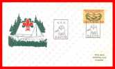 SCOUT / SCOUTING / SCOUTISME: SUOMI FINLAND 06.08.1965 - HAKKIS SAUVO - Covers & Documents