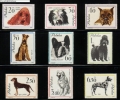 POLAND 1963 VERY ATTRACTIVE POLISH STAMPS - BREEDS SPECIES OR RACES OF DOGS COMPLETE SET OF 9 NHM Animals - Ongebruikt