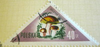 Poland 1959 Mushrooms Boletus Edulis Borowik 40g - Used - Gebruikt