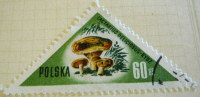 Poland 1959 Mushrooms Lactarius Deliciosus Rydz 60g - Used - Usati