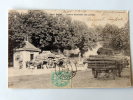 Carte Postale Ancienne : BAZAS : Convoi Revenant Des Landes , Attelages Avec Chargements De Bois - Bazas