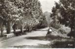 CPSM BUIS LES BARONNIES (Drome) - Promenade De La Digue - Buis-les-Baronnies