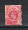 Natal   -   1902-03.  Edoardo VII. Postage - Revenue.  1d  Rose. - Natal (1857-1909)