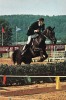 HIPPISME / EQUITATION - MOSCOU / MOSCOW - U.S.S.R. : CENTRE Des SYNDICATS - JEUX OLYMPIQUES / OLYMPICS - 1980 (l-414) - Horse Show