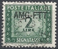 1949-54 TRIESTE A USATO SEGNATASSE 2 LIRE - RR10796 - Portomarken