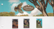 GIBRALTAR- 2012- DEFINITIVES- BIRDS OF THE ROCK- MNH - PRESENTATION PACK - Owls