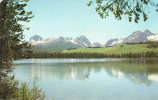 Little Redfish Lake - Other & Unclassified