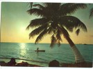 Puerto Cortez, Costa Norte De Honduras, Unused Postcard [10803] - Honduras