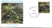 Wallis Et Futuna   FDC  Enveloppe 1er Jour  L'Etoile De Bethleem   9 Janv.90 - FDC