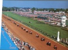 (500) Hippisme - Course De Chevaux - Horseracing - Kentucky Derby - Horse Show