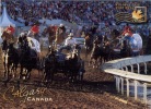 (500) Hippisme - Course De Chevaux - Horseracing - Calgary - Horse Show