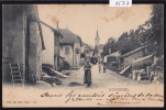 Bursinel, La Rue Avec Enfants Et Char à Foin - Vers 1901 (9577) - Bursinel