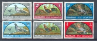 Mnr052 VOGELS DUIF HAAN BIRDS COCK PIGEON DOVE VÖGEL AVES OISEAUX SHARJAH 1965 PF/MNH - Verzamelingen, Voorwerpen & Reeksen