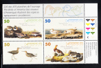 Canada MNH Scott #2098a Upper Right Plate Block 50c Birds Of Audubon - Plate Number & Inscriptions