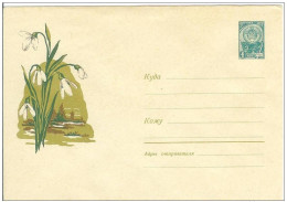 Russia USSR 1963 Fleurs Flowers Flower Blume Blumen Flora Plants Envelope - 1960-69