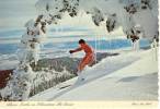 Schweitzer Ski Basin - Selkirk Mountains In Idaho's Panhandle, Near Of Sandpoint - Other & Unclassified