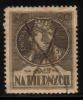 POLAND 1919 POOR RELIEF REVENUE 20M USED BF#04 KING ZYGMUNT SIGISMUND I - Steuermarken