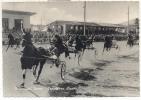 1816-IPPODROMO SESANA-MONTECATINI TERME(PISTOIA)-1954-FG - Horse Show