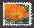 Poland 2009 Mi. ????      2.30 Zl Blume Flower - Gebraucht