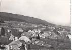 L 260 - En Avion Au-dessus De La Coudre Et Le Jura - L'Isle