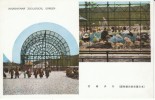 Higashiyama Zoo Botanical Garden, Nagoya Japan, Aviary Birds, Seals, C1930s Vintage Postcard - Nagoya