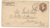 USA - 1884 ENTIRE COVER  Ffrom ALBANY To HUDSON - ...-1900