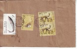 Chine, China Letter To Hungary, Scott 2433-34 Wild Camel, Scott 2490 Sturgeon, Acipenser Dabryanus - Covers & Documents