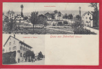 FEHRALTORF, BAHNHOFQUARTIER & RESTAURANT ZUR PALME, LICHTDRUCK 1906 - Fehraltorf