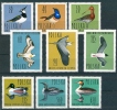 POLAND - 1964. Waterbirds Cpl. Set  MNH !!!! - Ongebruikt