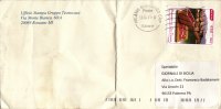 COMMEMORATIVI  /  Cover _ Lettera  - € 0,60 Isolato - 2011-20: Marcofilie