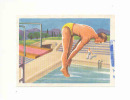 Plongeon , Saut Carpé  /  Image Biscottes Grégoire / Sport  / ( Natation )  //  IM 70/1 - Other & Unclassified