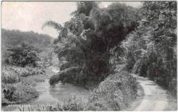 Amérique - Jamaique - Jamaïca - Trelawny - By Road And River - Giamaica