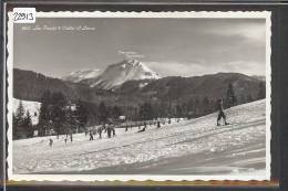 LES PACOTS SUR CHATEL ST DENIS - TB - Châtel-Saint-Denis