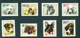 POLAND  -  1969  Dogs  Mounted Mint As Scan - Ongebruikt