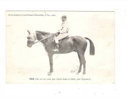CPA 1912 Supplément à La France Chevaline - N°64 - IRIS, Bai, Né En 1908, Par UNCLE SAM Et DIETE, Par SEGONSAC  - - Horse Show