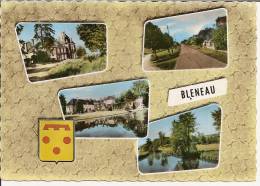 BLENEAU (Yonne)   MULTIVUES - Bleneau