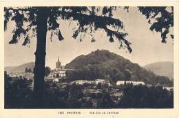 BRUYERES Vue Sur Le Château  - TTB Neuve - Bruyeres Le Chatel