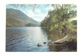 Cp, Angleterre, Ullswater And PPlace Fell From Near Glencoyne Bridge, écrite - Andere & Zonder Classificatie