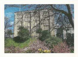 Cp, Angleterre, Norwich, Norwich Castle, écrite 2001 - Norwich