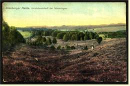 Lüneburger Heide  - Heidelandschaft Bei Hösseringen -  Ansichtskarte Ca.1912    (1288) - Lüneburger Heide