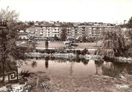 LE HAVRE SQUARE SAINT ROCH (CALECHE TIRE PAR UN ANE)     REF 28606 - Square Saint-Roch