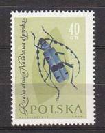 R3211 - POLOGNE POLAND Yv N°1142 ** - Ongebruikt