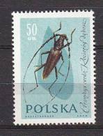 R3212 - POLOGNE POLAND Yv N°1143 ** - Ongebruikt