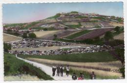 Fontenay - Saint-Satur, Caves Souterraines Du Clos De La Perrière, Archambult Père Et Fils, Le Parc à Voitures, Voir Dos - Saint-Satur