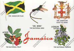 JAMAICA Jamaïque : Flag DR National Bird Coat Of Arms Lignum Vitae National Flower Ackee National Fruit - Giamaica