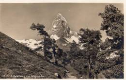 Matterhorn Mit Riffelapweg - Matt