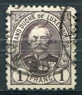 LUXEMBOURG - Y&T 66 - 20% De La Cote - 1891 Adolphe Front Side